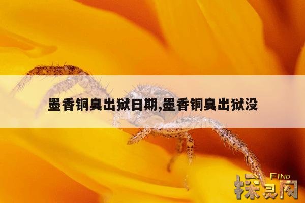 墨香铜臭出狱日期,墨香铜臭出狱没