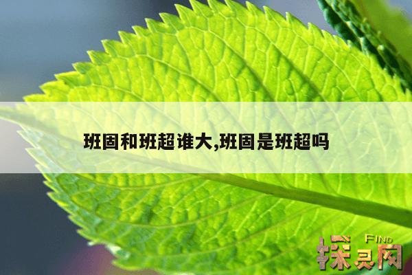 班固和班超谁大,班固是班超吗