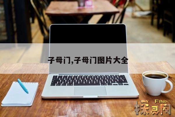 子母门,子母门图片大全