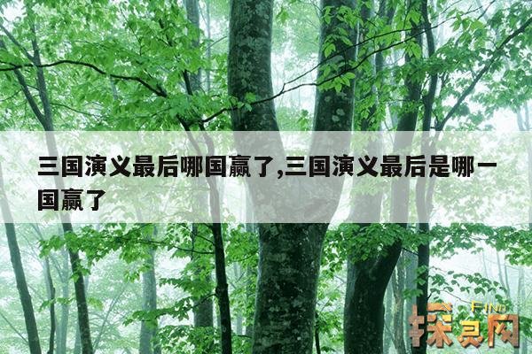 三国演义最后哪国赢了,三国演义最后是哪一国赢了