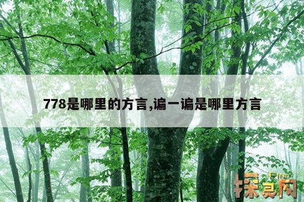 778是哪里的方言,谝一谝是哪里方言