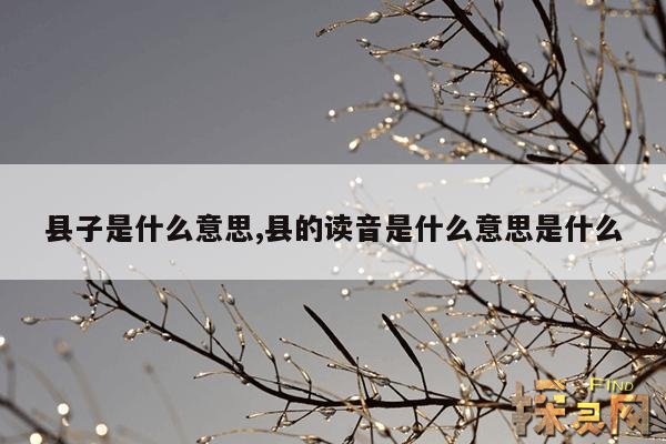 县子是什么意思,县的读音是什么意思是什么