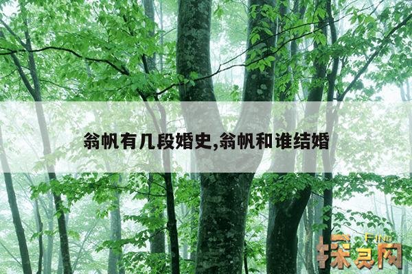 翁帆有几段婚史,翁帆和谁结婚
