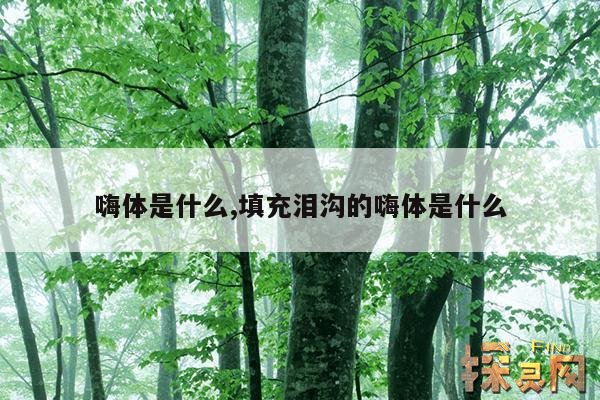 嗨体是什么,填充泪沟的嗨体是什么
