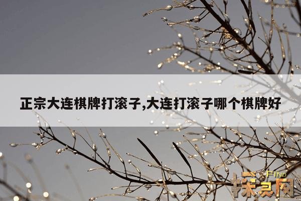 正宗大连棋牌打滚子,大连打滚子哪个棋牌好