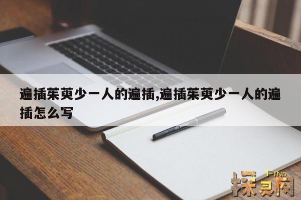 遍插茱萸少一人的遍插,遍插茱萸少一人的遍插怎么写
