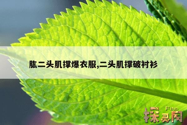 肱二头肌撑爆衣服,二头肌撑破衬衫