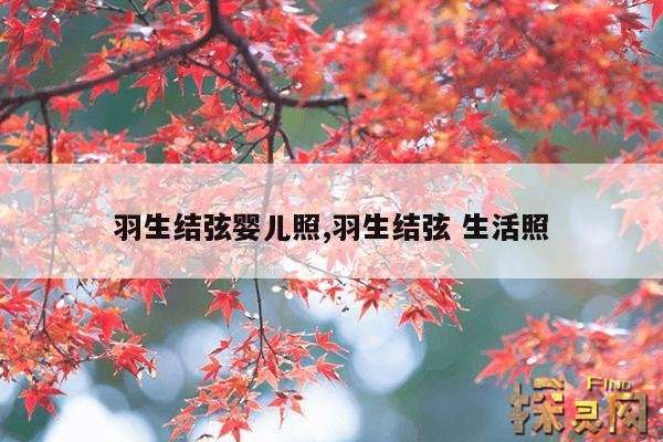 羽生结弦婴儿照,羽生结弦 生活照