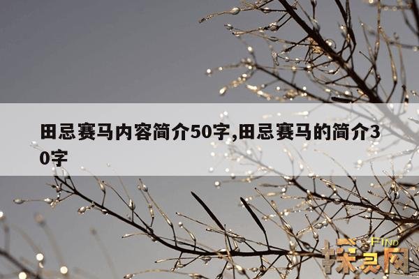 田忌赛马内容简介50字,田忌赛马的简介30字