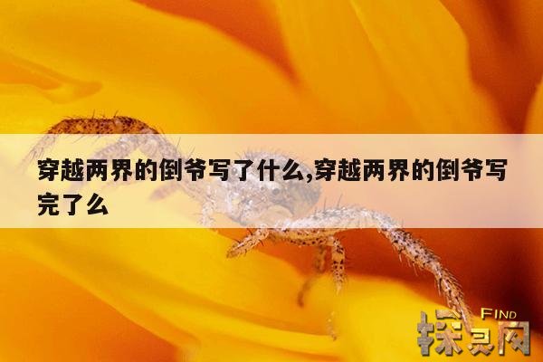 穿越两界的倒爷写了什么,穿越两界的倒爷写完了么