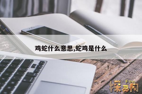 鸡蛇什么意思,蛇鸡是什么