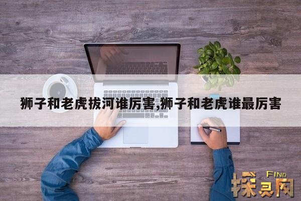 狮子和老虎拔河谁厉害,狮子和老虎谁最厉害