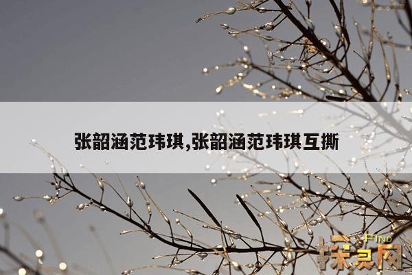 张韶涵范玮琪,张韶涵范玮琪互撕