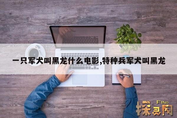 一只军犬叫黑龙什么电影,特种兵军犬叫黑龙