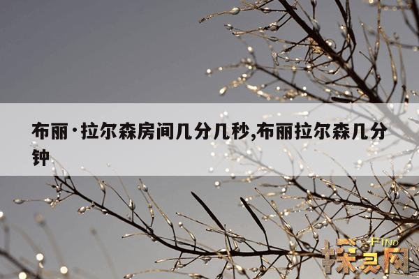 布丽·拉尔森房间几分几秒,布丽拉尔森几分钟