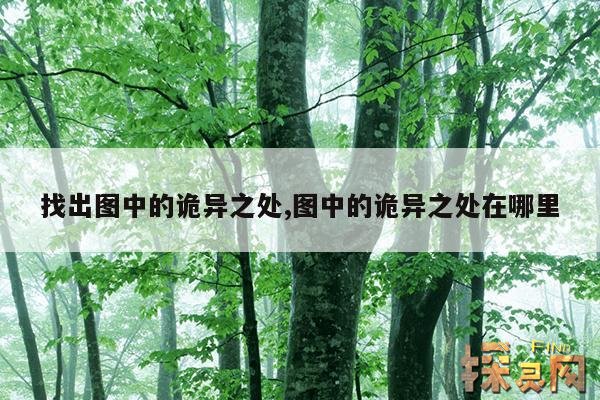 找出图中的诡异之处,图中的诡异之处在哪里