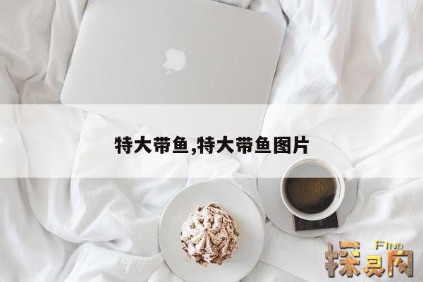 特大带鱼,特大带鱼图片