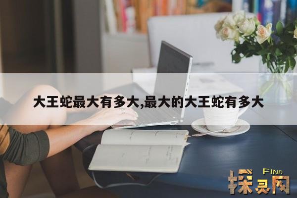 大王蛇最大有多大,最大的大王蛇有多大