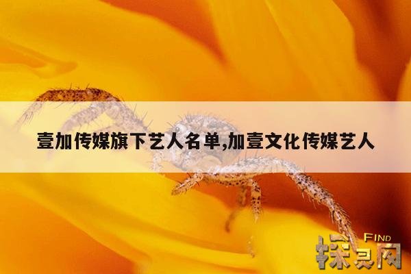壹加传媒旗下艺人名单,加壹文化传媒艺人