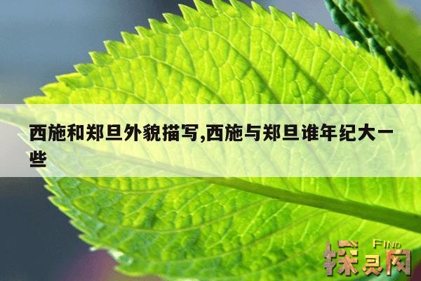 西施和郑旦外貌描写,西施与郑旦谁年纪大一些