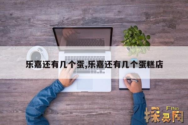 乐嘉还有几个蛋,乐嘉还有几个蛋糕店