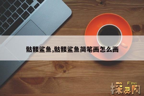 骷髅鲨鱼,骷髅鲨鱼简笔画怎么画