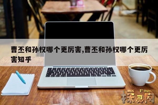 曹丕和孙权哪个更厉害,曹丕和孙权哪个更厉害知乎