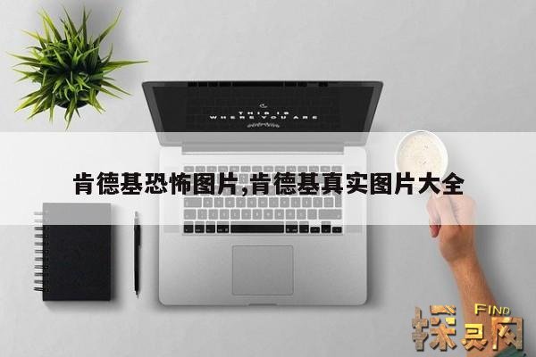 肯德基恐怖图片,肯德基真实图片大全
