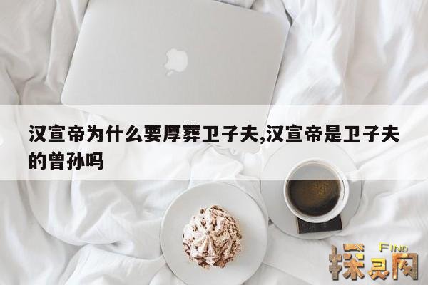 汉宣帝为什么要厚葬卫子夫,汉宣帝是卫子夫的曾孙吗