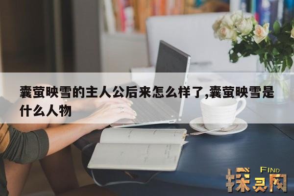 囊萤映雪的主人公后来怎么样了,囊萤映雪是什么人物