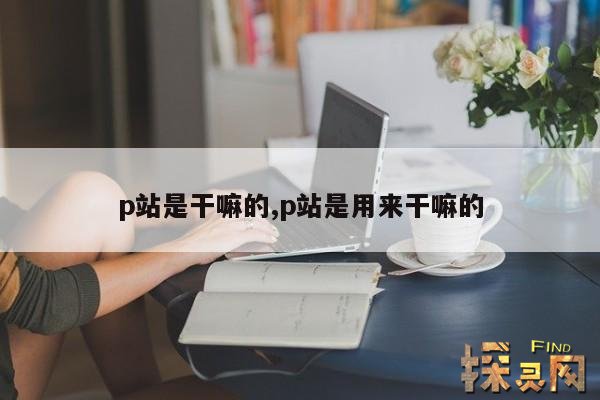 p站是干嘛的,p站是用来干嘛的