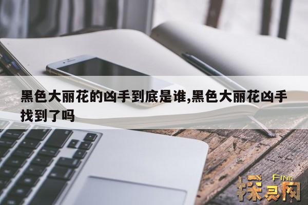 黑色大丽花的凶手到底是谁,黑色大丽花凶手找到了吗