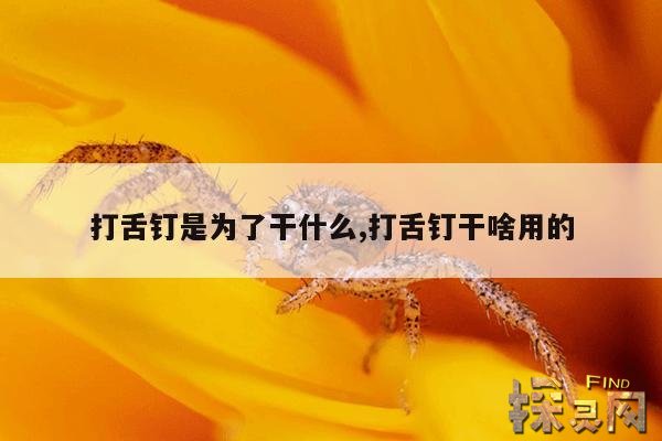 打舌钉是为了干什么,打舌钉干啥用的