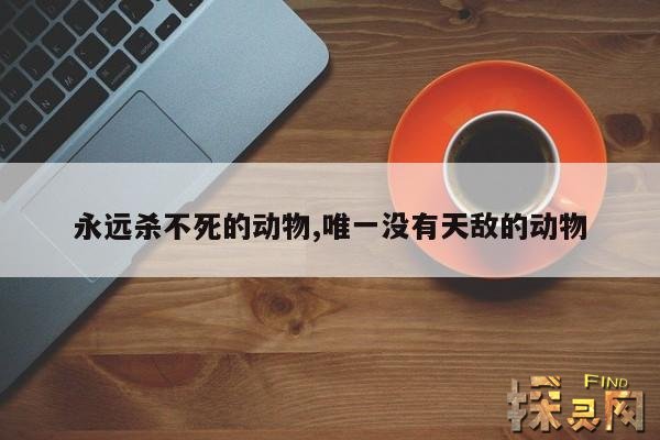 永远杀不死的动物,唯一没有天敌的动物