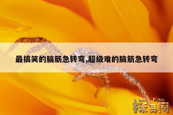 最搞笑的脑筋急转弯,超级难的脑筋急转弯