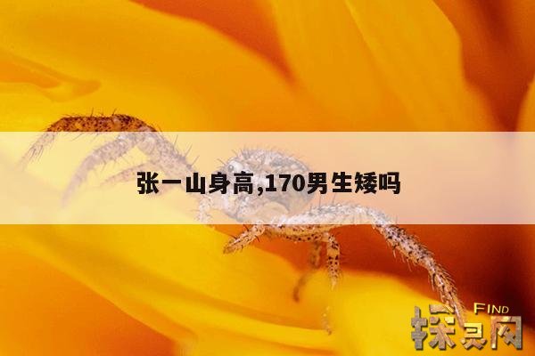 张一山身高,170男生矮吗