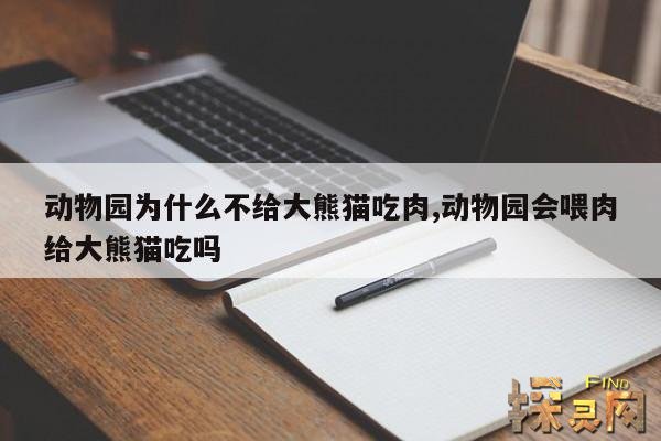 动物园为什么不给大熊猫吃肉,动物园会喂肉给大熊猫吃吗