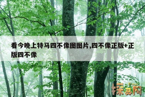看今晚上特马四不像图图片,四不像正版+正版四不像