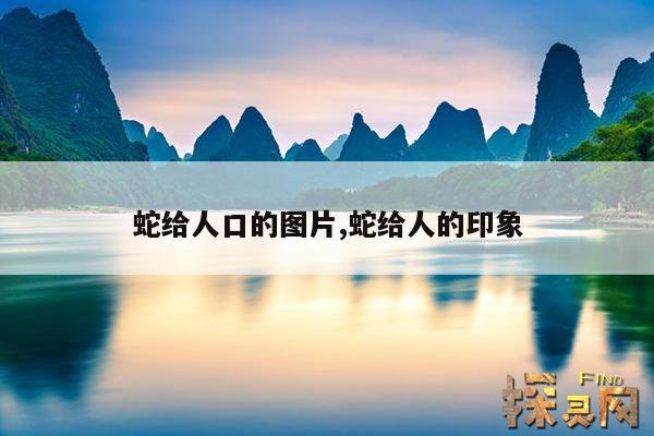 蛇给人口的图片,蛇给人的印象