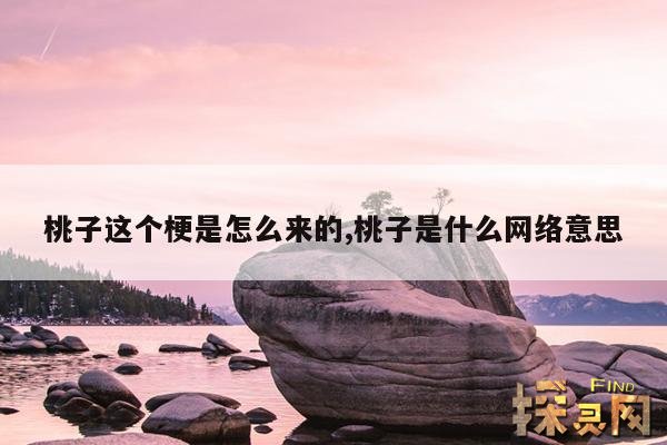 桃子这个梗是怎么来的,桃子是什么网络意思