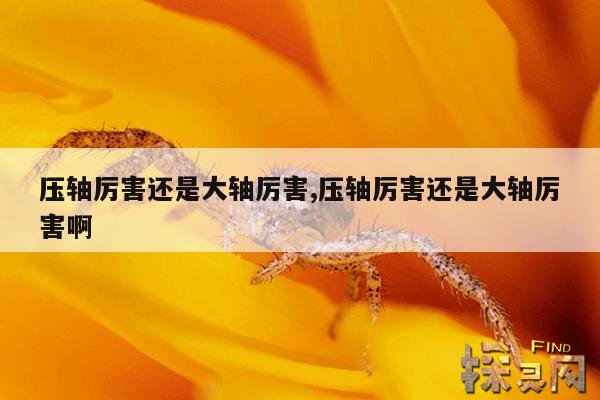 压轴厉害还是大轴厉害,压轴厉害还是大轴厉害啊
