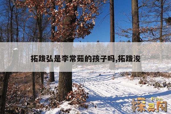 拓跋弘是李常茹的孩子吗,拓跋浚