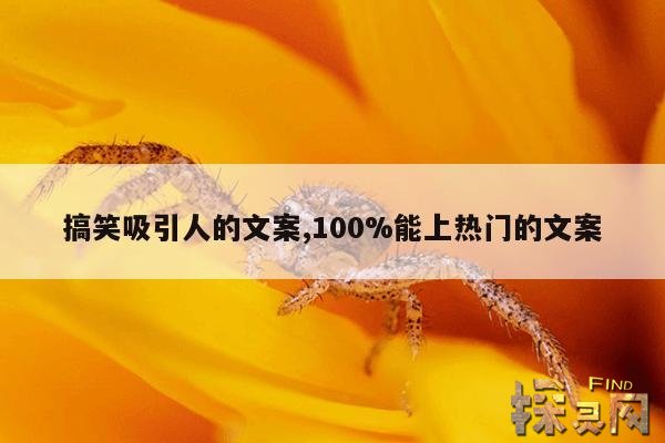 搞笑吸引人的文案,100%能上热门的文案