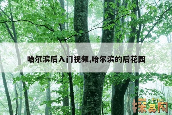 哈尔滨后入门视频,哈尔滨的后花园