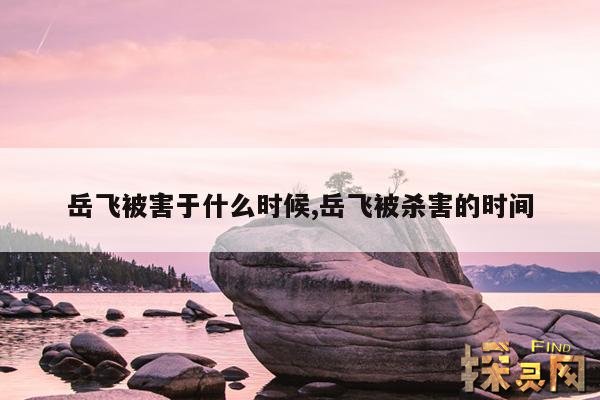 岳飞被害于什么时候,岳飞被杀害的时间