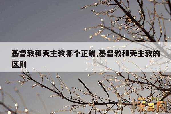 基督教和天主教哪个正确,基督教和天主教的区别