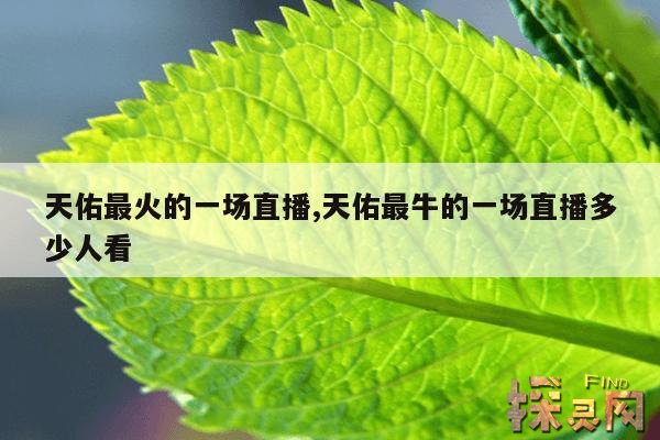 天佑最火的一场直播,天佑最牛的一场直播多少人看