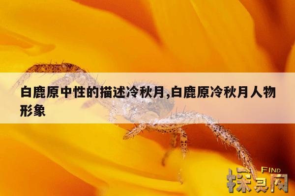白鹿原中性的描述冷秋月,白鹿原冷秋月人物形象