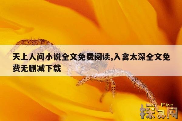天上人间小说全文免费阅读,入禽太深全文免费无删减下载