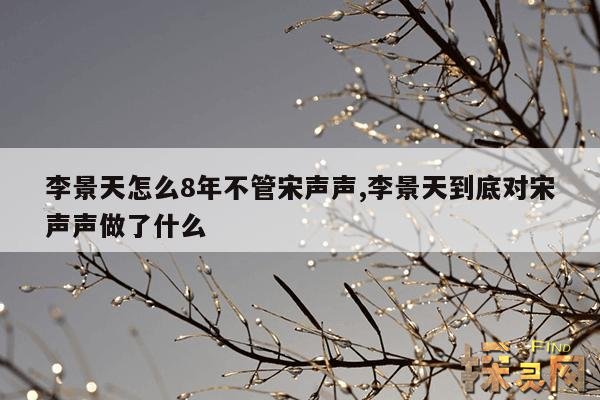 李景天怎么8年不管宋声声,李景天到底对宋声声做了什么